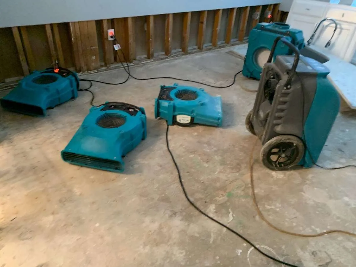 Commercial Water Damage Restoration in Waggaman, LA